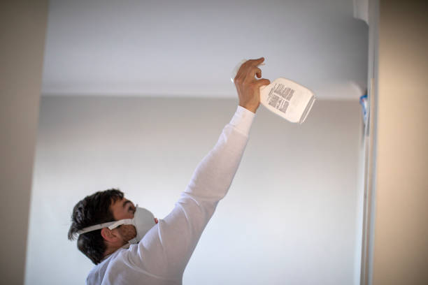 Best Local Mold Removal Service  in Johnson City, TX