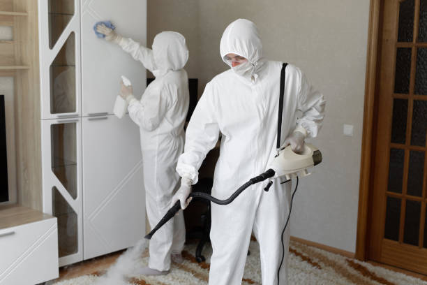 Mold Testing and Removal in Johnson City, TX