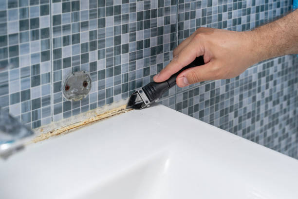 Best Mold Testing  in Johnson City, TX